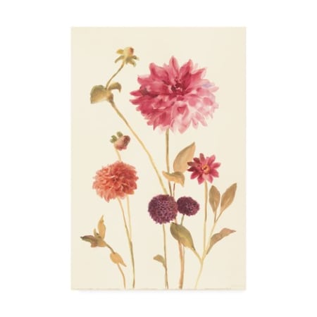 Danhui Nai 'Watercolor Flowers V' Canvas Art,12x19